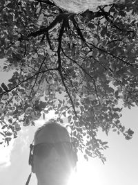 Low angle view of cherry blossoms against sky