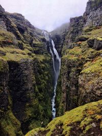 Scenic view of waterfall in forest