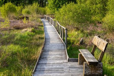 Hiking trail on wooden boardwalks and bench through the todtenbruch moor in the raffelsbrand region