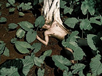 High angle view of shirtless man lying down amidst leaves on field