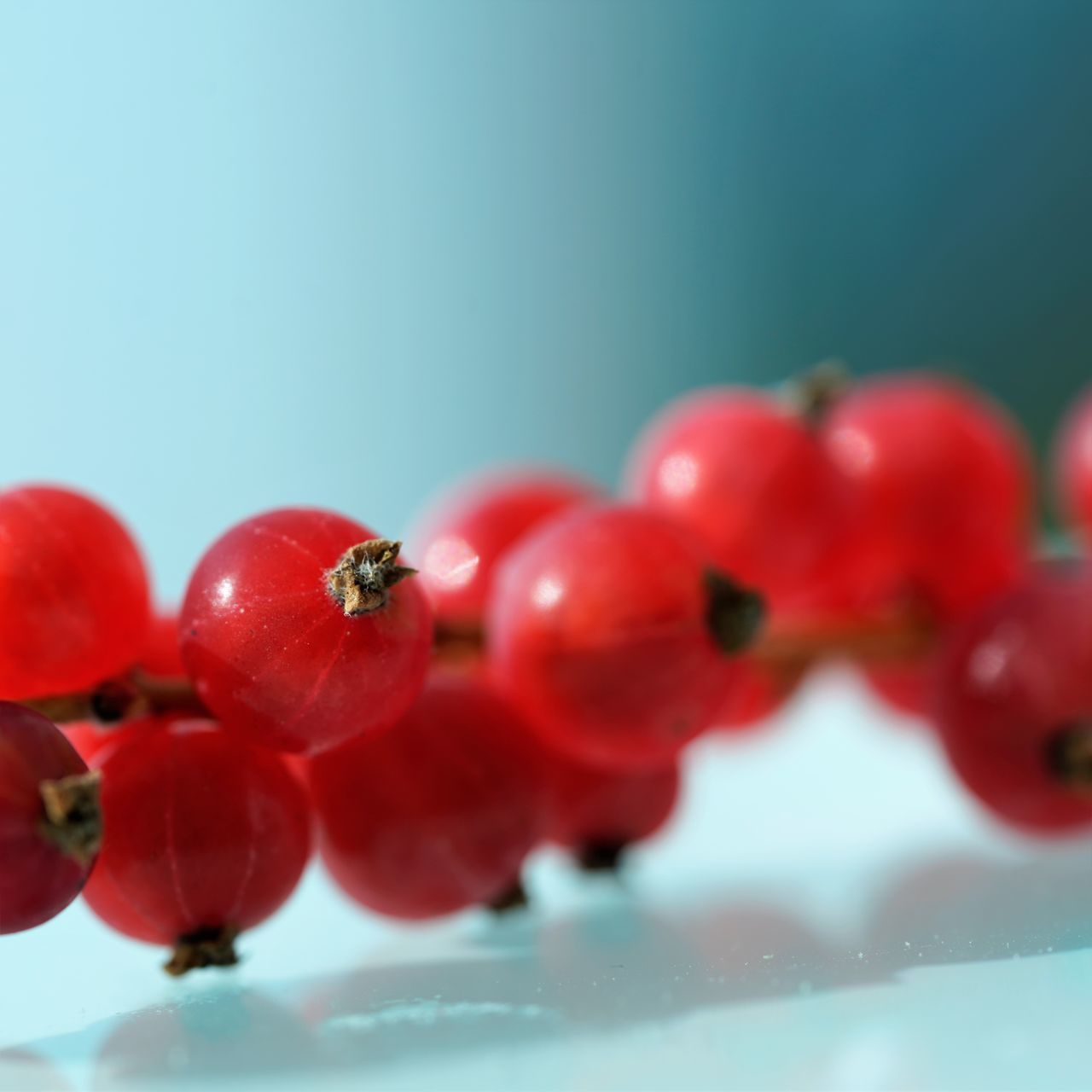CLOSE-UP OF RED BERRIES GROWING ON BLUE TABLE