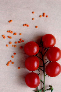 High angle view of fruits on table