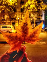 Cropped image of person holding maple leaf during autumn