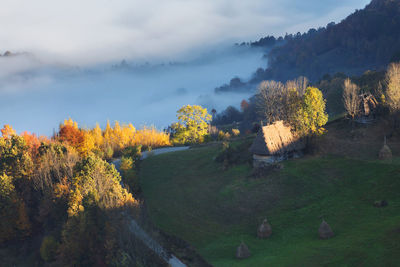 Trees on field against sky during autumn