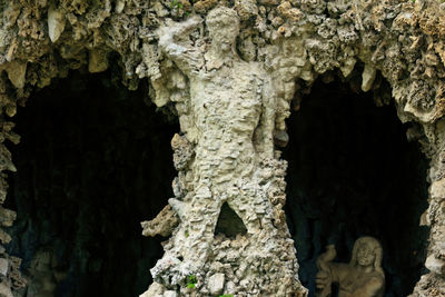 Close-up of tree trunk in cave