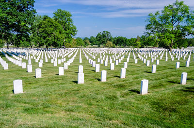 View of cemetery against sky