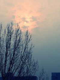 Low angle view of bare trees against cloudy sky