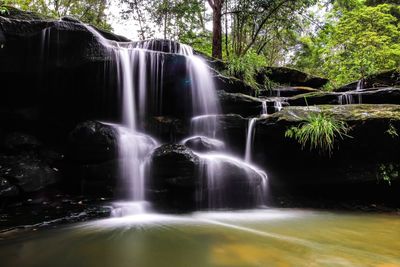Scenic view of waterfall in forest