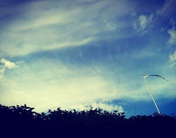 Low angle view of trees against sky