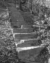 High angle view of stairs