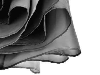 Close-up of flower over white background