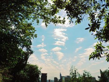 Low angle view of trees against sky