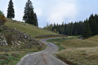 Empty road along trees and plants against sky