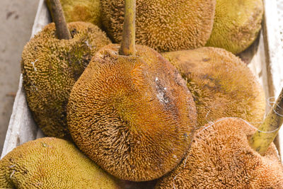 Close-up of jackfruits in market