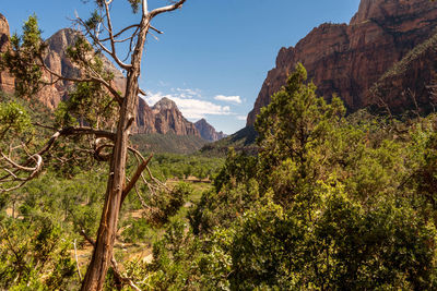 View of the valley in the zion national park utah usa