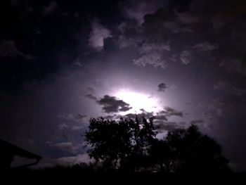 Low angle view of silhouette trees against sky at night