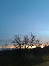 Silhouette bare trees on field against sky during sunset