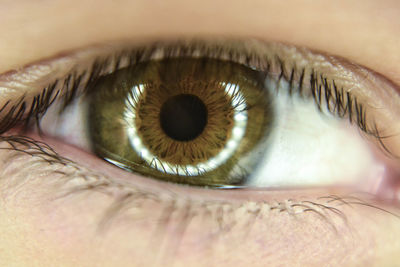 Close-up of human eye