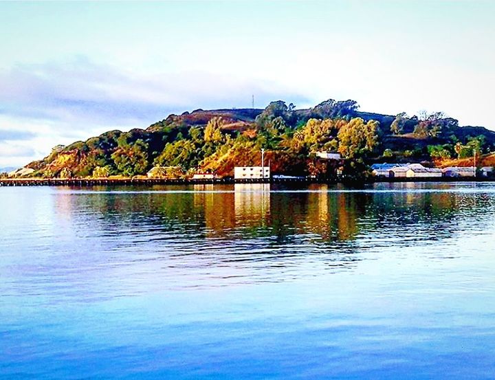 water, sky, beauty in nature, waterfront, scenics - nature, tranquility, reflection, tranquil scene, tree, nature, day, no people, plant, cloud - sky, mountain, lake, idyllic, outdoors, non-urban scene