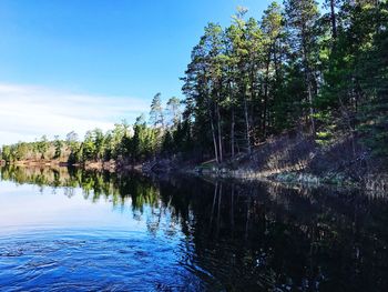 Scenic view of lake against trees in forest