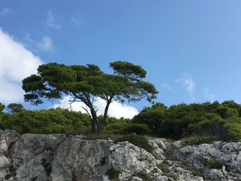 Scenic view of rocks against sky