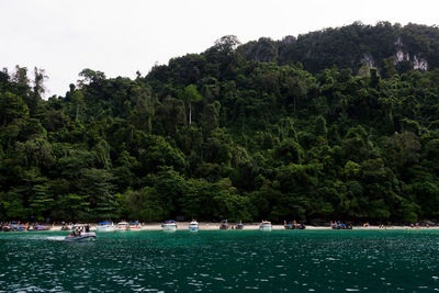 Scenic view of lake in forest against sky