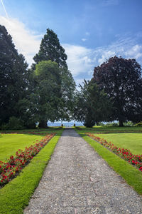 Footpath amidst flowering plants against sky