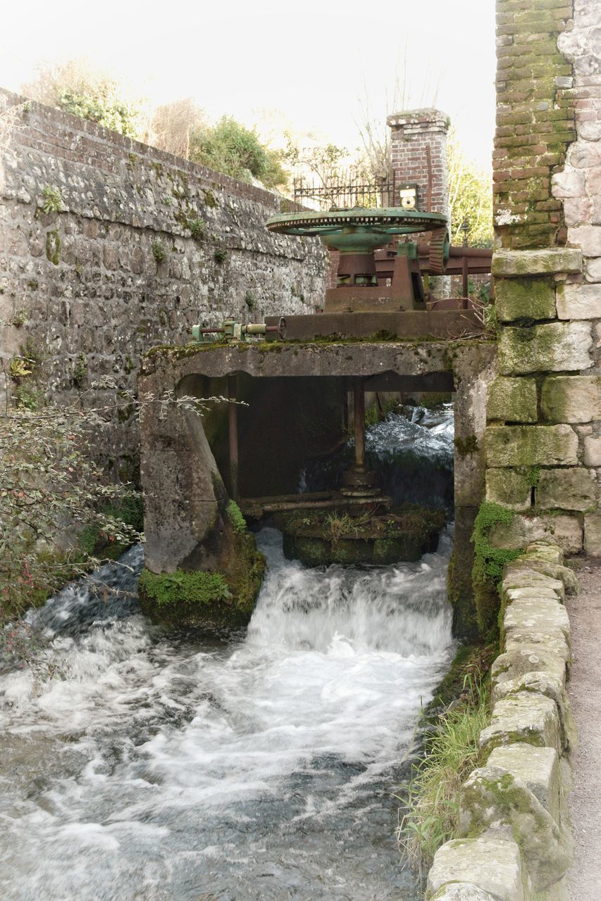 VIEW OF WATERFALL ALONG PLANTS