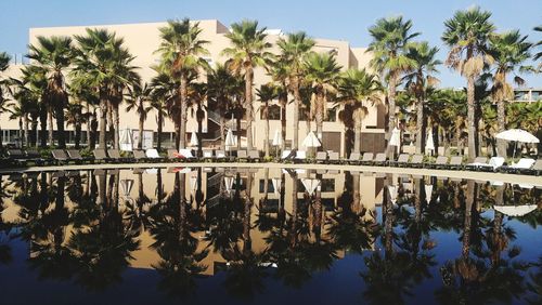 Reflection of trees in swimming pool