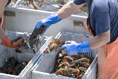 Midsection of man working at fish