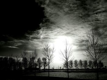 Trees against sky