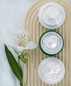 Directly above shot of white flower on table