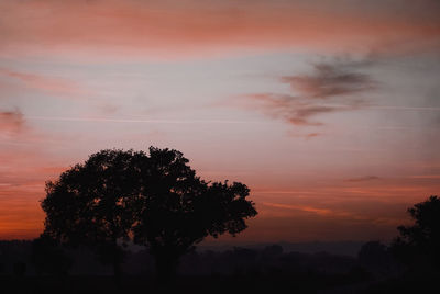 Silhouette tree on field against orange sky