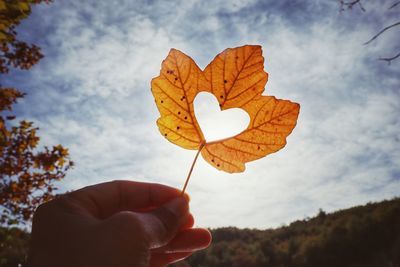 Close-up of hand holding autumn leaf against sky