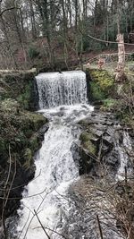 Scenic view of waterfall in forest