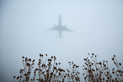 Airplane approaching for landing during gloomy autumn day.