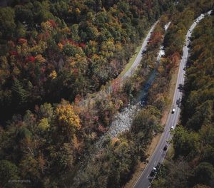 High angle view of road amidst trees