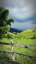 Scenic view of grassy field against cloudy sky