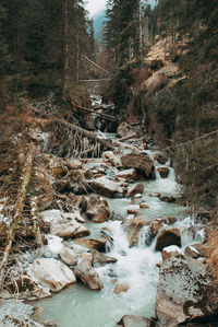 Stream flowing through rocks in forest