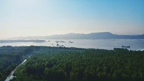 High angle view of trees and sea against clear sky