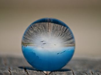 Close-up of crystal ball on land
