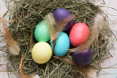 High angle view of eggs in nest