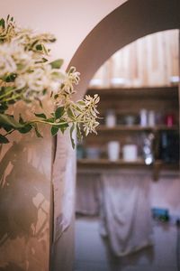 Close-up of vase on plant at home