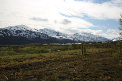 Snow covered field