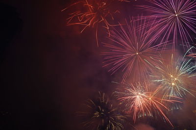 Low angle view of firework display at night