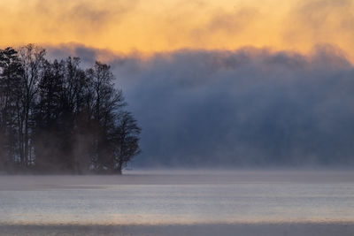 Trees on snow covered land against sky during sunset