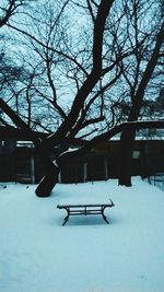 Bare trees on snow covered landscape