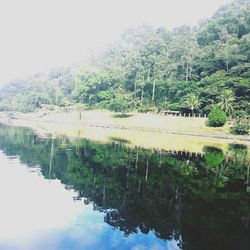 Reflection of trees in lake against sky