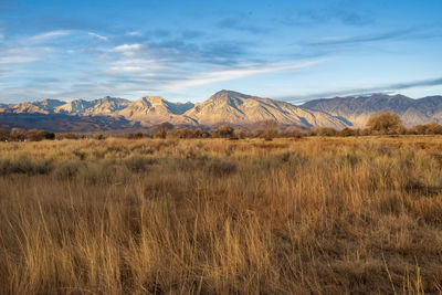 Scenic view of field against sky