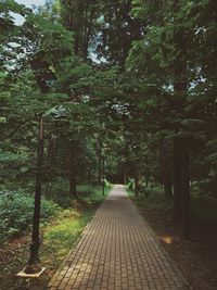 Footpath amidst trees in forest